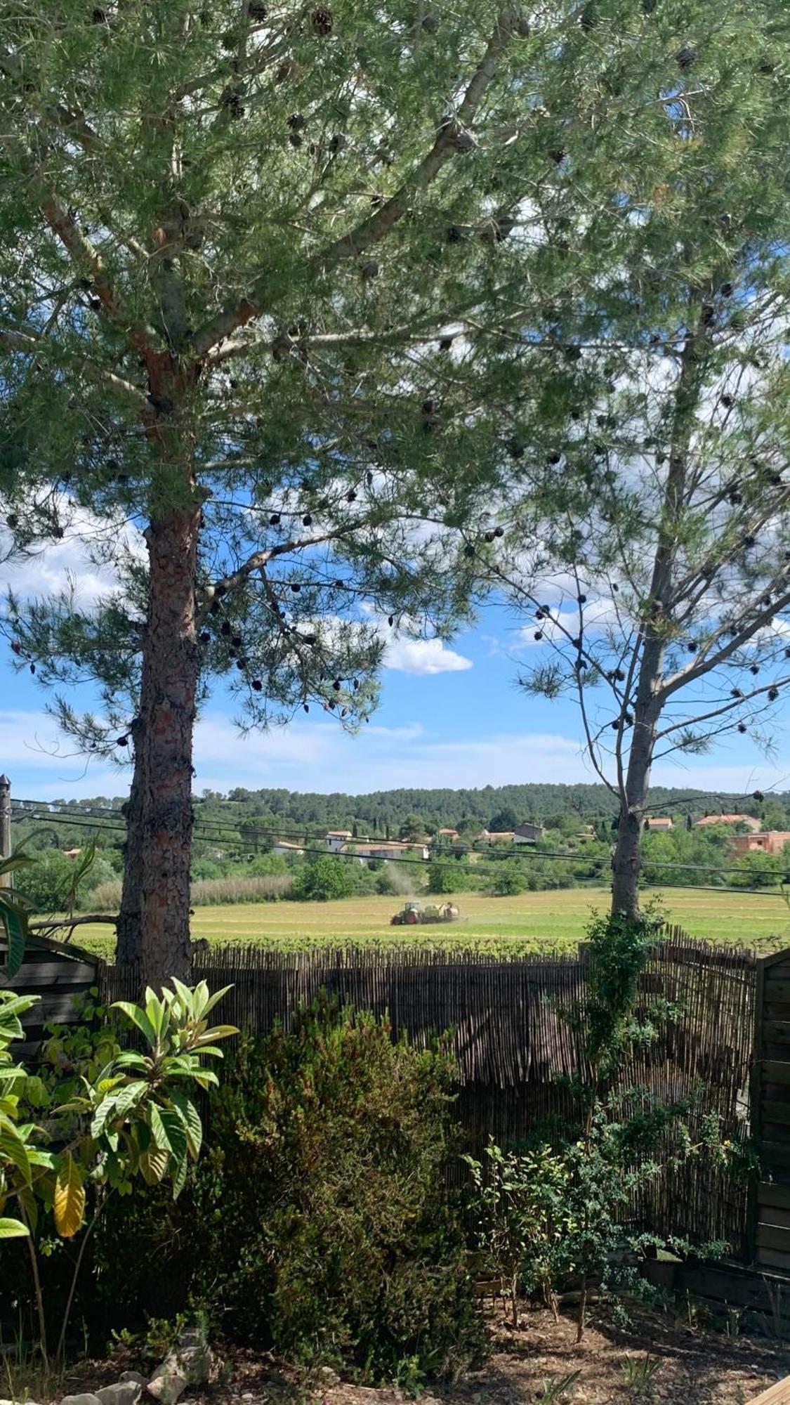 Villa En Bordure De Colline*Piscine*Clim*Netflix Les Matelles Εξωτερικό φωτογραφία